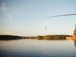 Mastering the Art of Fly Fishing Advanced Techniques for Experienced Anglers