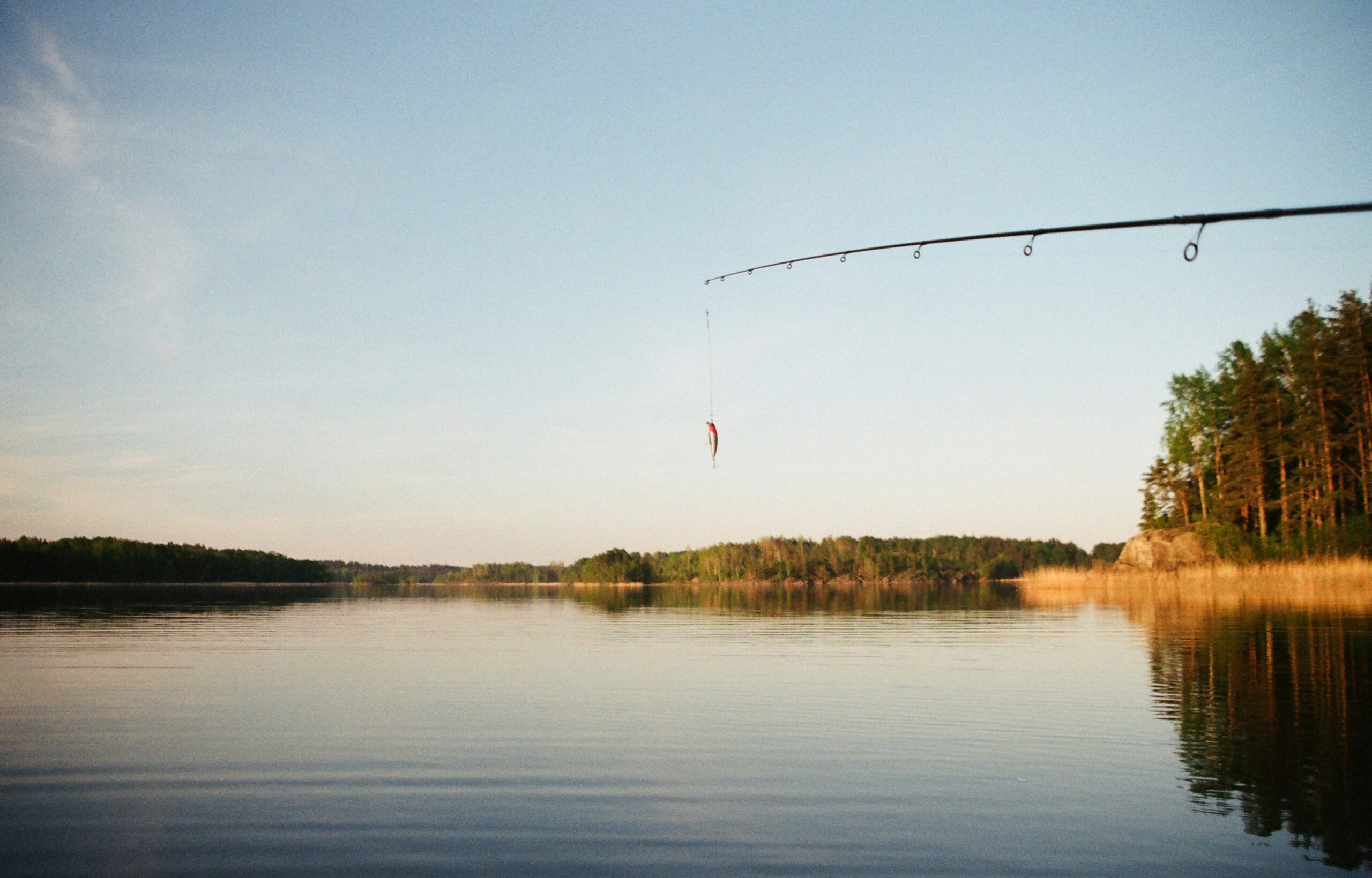 Mastering the Art of Fly Fishing Advanced Techniques for Experienced Anglers