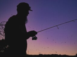 Hook, Line, and Difference Fly Fishing Versus Traditional Fishing