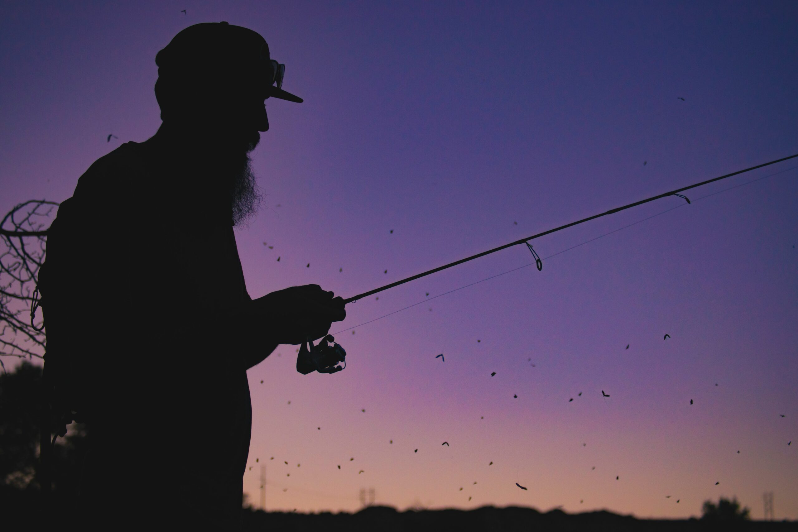 Hook, Line, and Difference Fly Fishing Versus Traditional Fishing